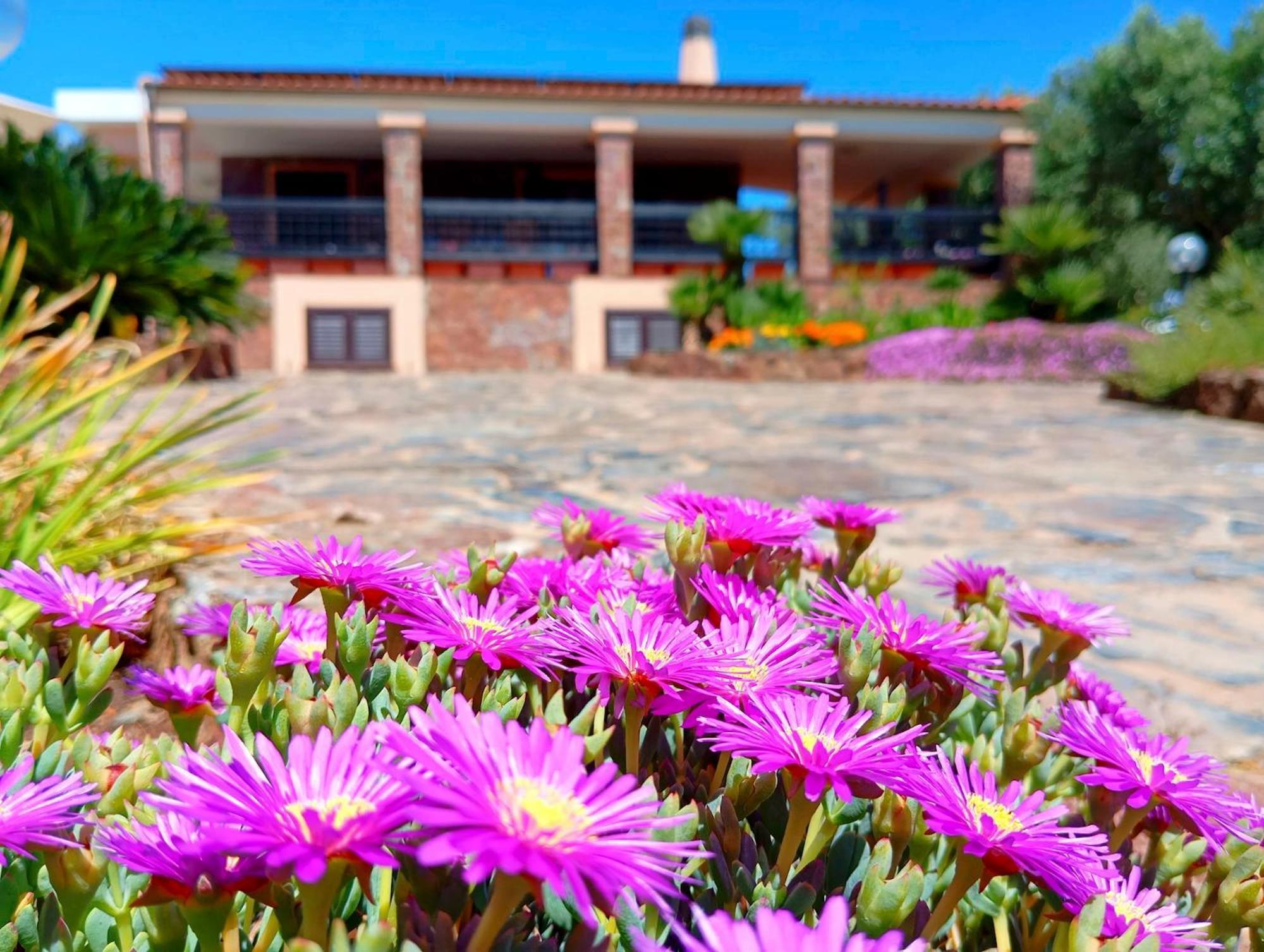 Alghero Villa Barranch With Sea View Swimming Pool For 6 People Exterior photo